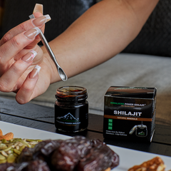 Himalayan Power Natural Shilajit Resin